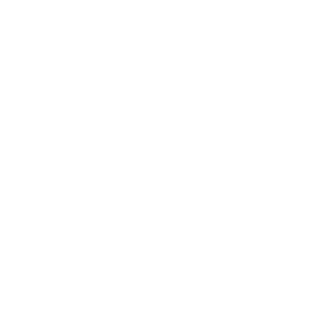Studio RSR Logo White 500