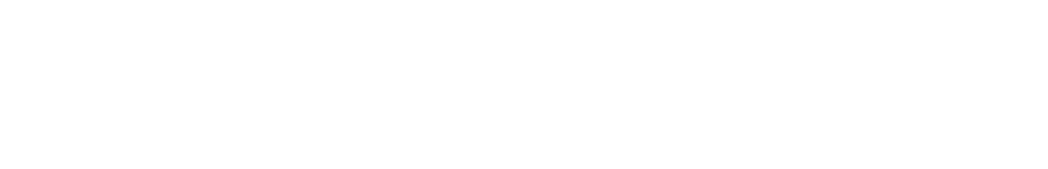 Castro Motorsport Logo