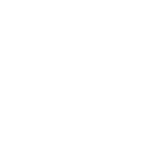 Magnuson Superchargers Logo 500x500